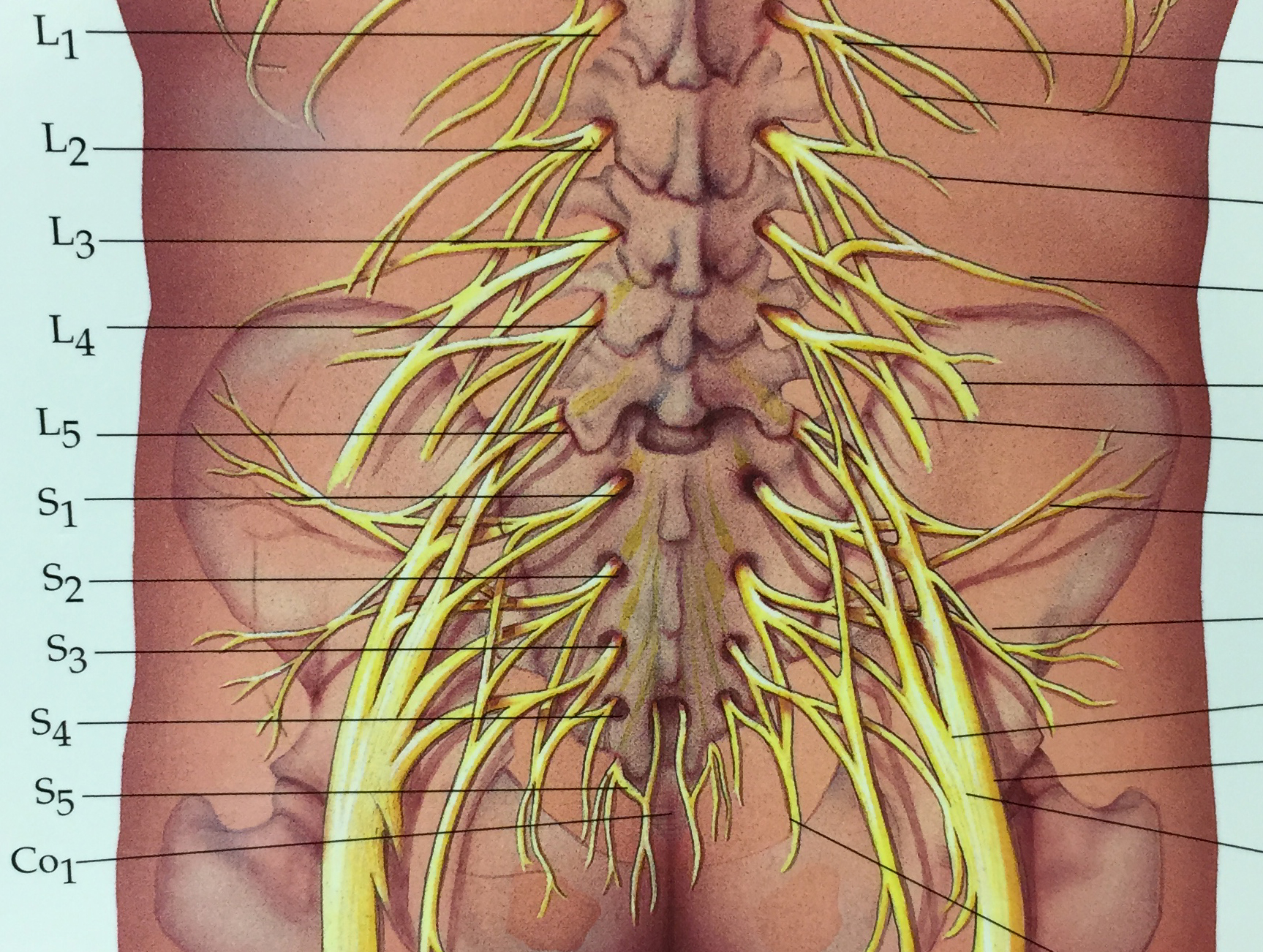 How Do You Know If Nerve Pain Is Permanent